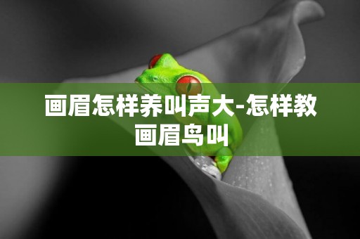 畫眉怎樣養叫聲大-怎樣教畫眉鳥叫