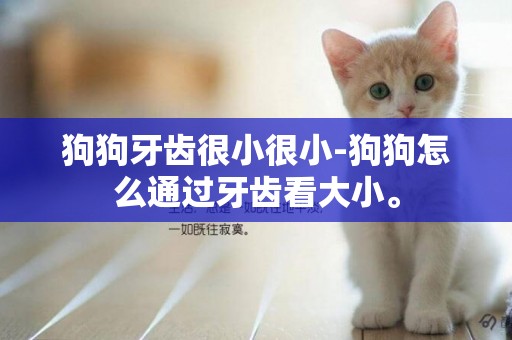 狗狗牙齒很小很小-狗狗怎么通過牙齒看大小。