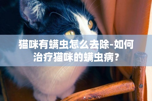 貓咪有螨蟲怎么去除-如何治療貓咪的螨蟲病？