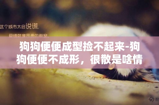 狗狗便便成型撿不起來-狗狗便便不成形，很散是啥情況