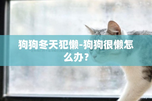 狗狗冬天犯懶-狗狗很懶怎么辦？