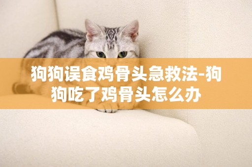 狗狗誤食雞骨頭急救法-狗狗吃了雞骨頭怎么辦