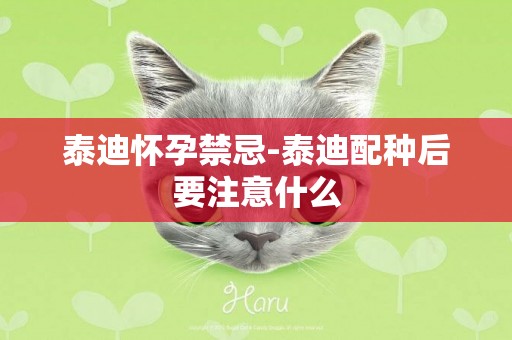 泰迪懷孕禁忌-泰迪配種后要注意什么