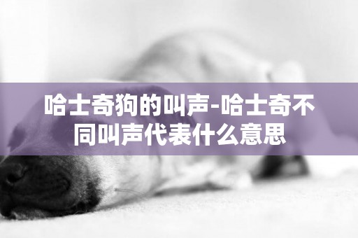 哈士奇狗的叫聲-哈士奇不同叫聲代表什么意思