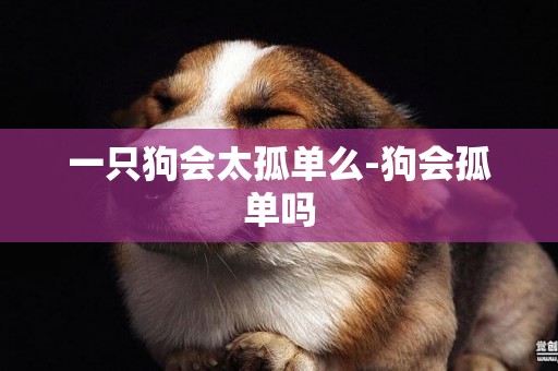 一只狗會太孤單么-狗會孤單嗎