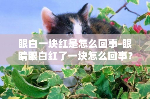眼白一塊紅是怎么回事-眼睛眼白紅了一塊怎么回事？不痛