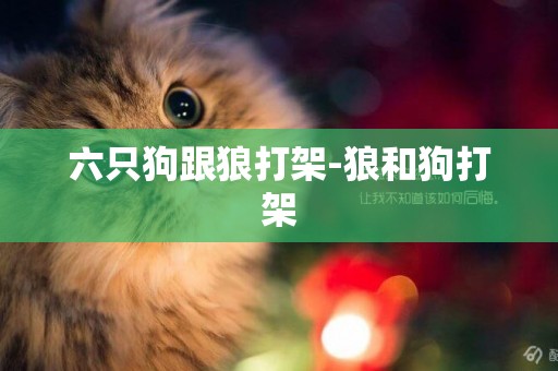 六只狗跟狼打架-狼和狗打架
