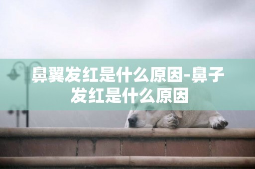鼻翼發紅是什么原因-鼻子 發紅是什么原因