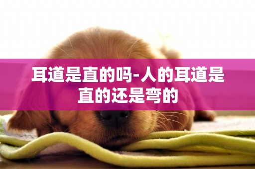 耳道是直的嗎-人的耳道是直的還是彎的