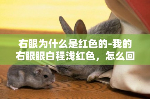 右眼為什么是紅色的-我的右眼眼白程淺紅色，怎么回事，怎么解決？