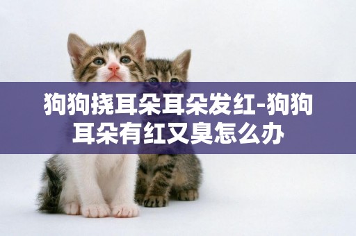狗狗撓耳朵耳朵發紅-狗狗耳朵有紅又臭怎么辦