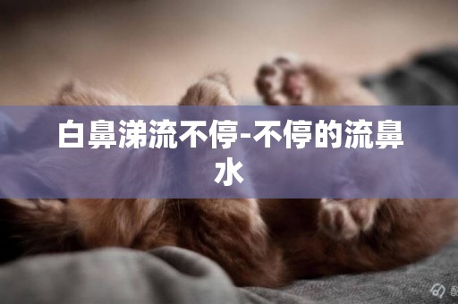 白鼻涕流不停-不停的流鼻水
