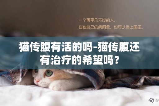 貓傳腹有活的嗎-貓傳腹還有治療的希望嗎？