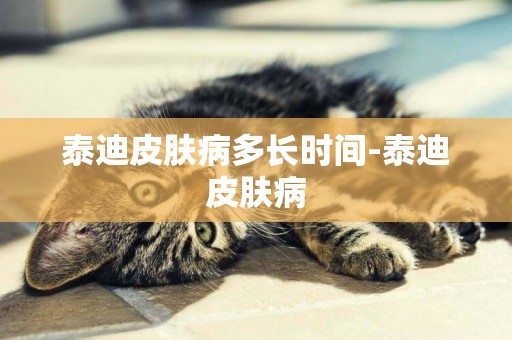 泰迪皮膚病多長時間-泰迪皮膚病