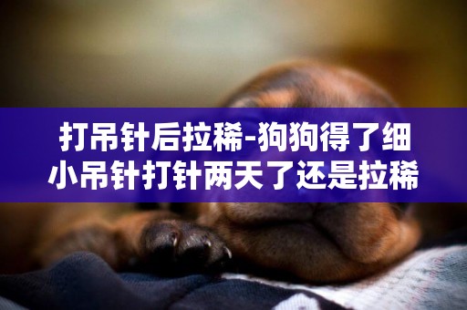 打吊針后拉稀-狗狗得了細小吊針打針兩天了還是拉稀為什么