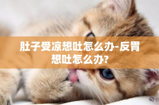 肚子受涼想吐怎么辦-反胃想吐怎么辦?