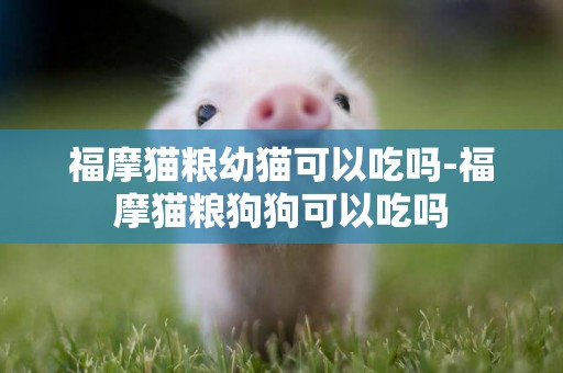 福摩貓糧幼貓可以吃嗎-福摩貓糧狗狗可以吃嗎