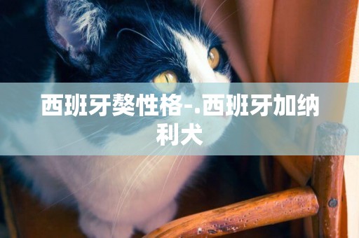 西班牙獒性格-.西班牙加納利犬