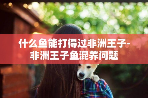 什么魚能打得過非洲王子-非洲王子魚混養問題