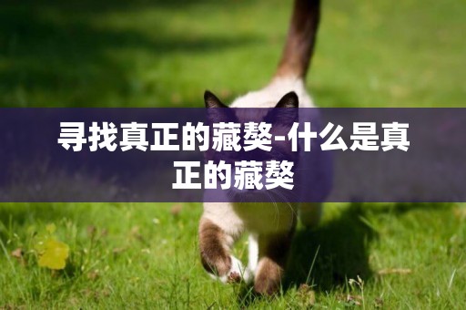 尋找真正的藏獒-什么是真正的藏獒