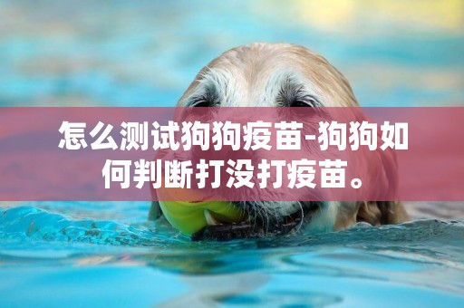 怎么測試狗狗疫苗-狗狗如何判斷打沒打疫苗。
