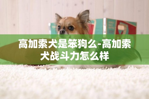高加索犬是笨狗么-高加索犬戰斗力怎么樣