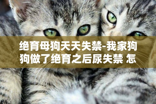 絕育母狗天天失禁-我家狗狗做了絕育之后尿失禁 怎么辦