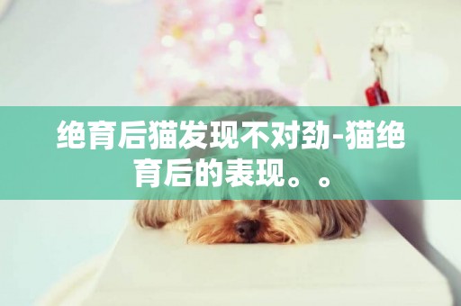 絕育后貓發現不對勁-貓絕育后的表現。。