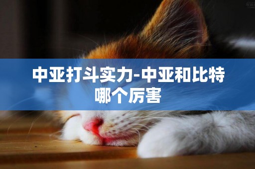 中亞打斗實力-中亞和比特哪個厲害
