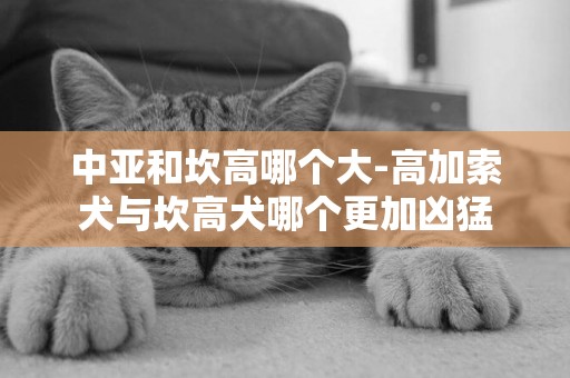 中亞和坎高哪個大-高加索犬與坎高犬哪個更加兇猛