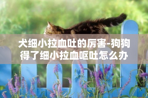 犬細小拉血吐的厲害-狗狗得了細小拉血嘔吐怎么辦