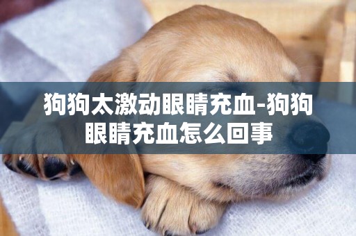 狗狗太激動眼睛充血-狗狗眼睛充血怎么回事