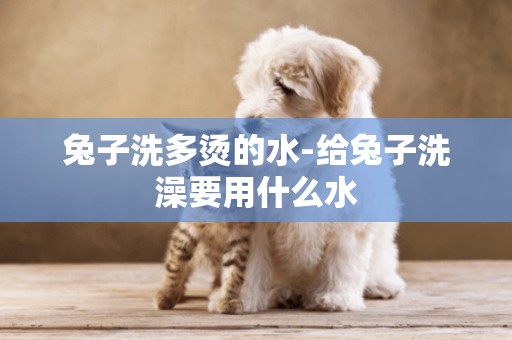 兔子洗多燙的水-給兔子洗澡要用什么水