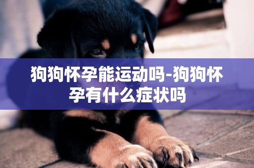 狗狗懷孕能運動嗎-狗狗懷孕有什么癥狀嗎