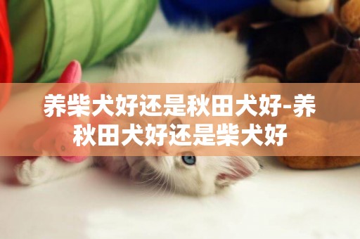 養柴犬好還是秋田犬好-養秋田犬好還是柴犬好