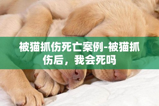 被貓抓傷死亡案例-被貓抓傷后，我會死嗎