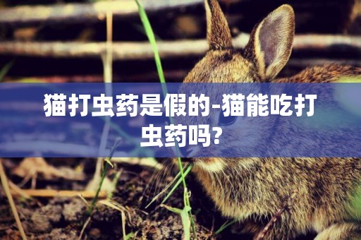 貓打蟲藥是假的-貓能吃打蟲藥嗎?