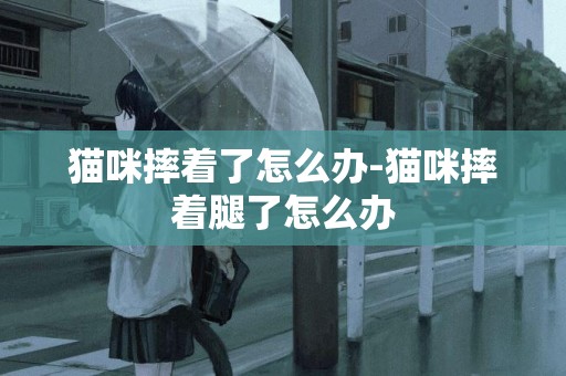 貓咪摔著了怎么辦-貓咪摔著腿了怎么辦