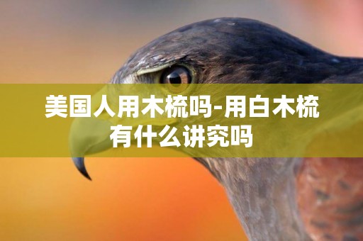 美國人用木梳嗎-用白木梳有什么講究嗎