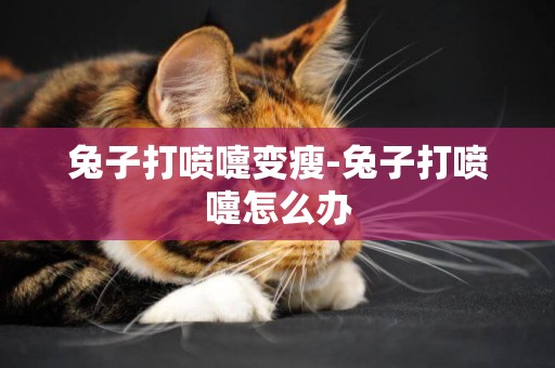 兔子打噴嚏變瘦-兔子打噴嚏怎么辦