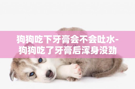 狗狗吃下牙膏會不會吐水-狗狗吃了牙膏后渾身沒勁