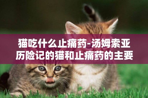 貓吃什么止痛藥-湯姆索亞歷險記的貓和止痛藥的主要內容是什么