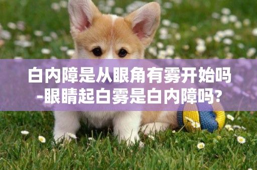 白內障是從眼角有霧開始嗎-眼睛起白霧是白內障嗎?