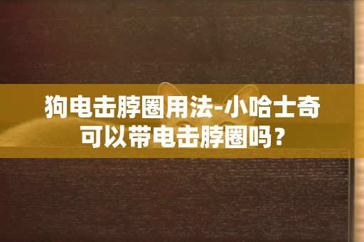 狗電擊脖圈用法-小哈士奇可以帶電擊脖圈嗎？