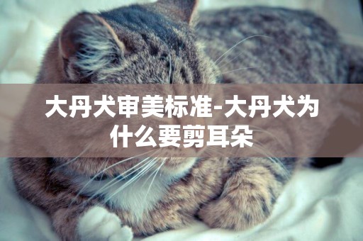 大丹犬審美標準-大丹犬為什么要剪耳朵