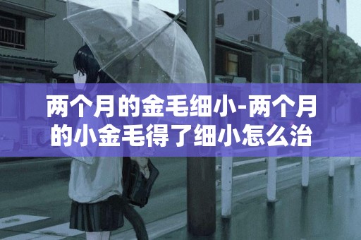 兩個月的金毛細小-兩個月的小金毛得了細小怎么治