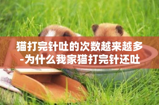 貓打完針吐的次數越來越多-為什么我家貓打完針還吐