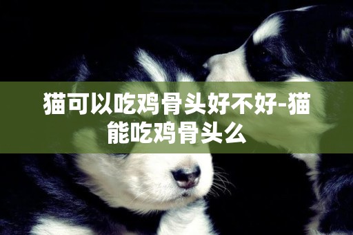 貓可以吃雞骨頭好不好-貓能吃雞骨頭么