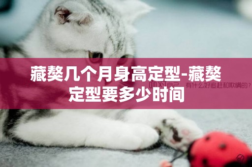 藏獒幾個月身高定型-藏獒定型要多少時間