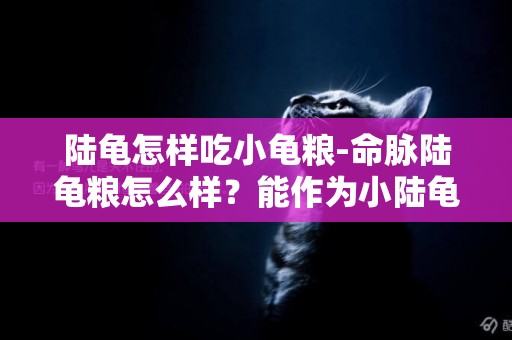 陸龜怎樣吃小龜糧-命脈陸龜糧怎么樣？能作為小陸龜的主食嗎？